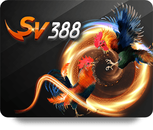 Win79 Slot Baccarat: Trải Nghiệm Chơi Game Đỉnh Cao